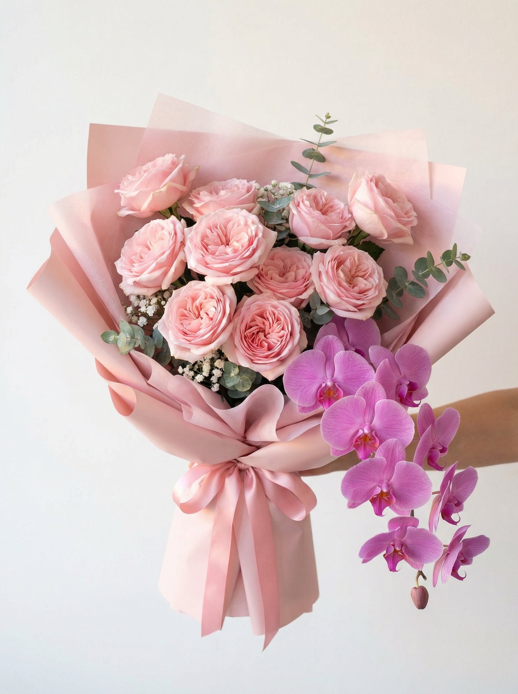 Blushing Orchid Grace