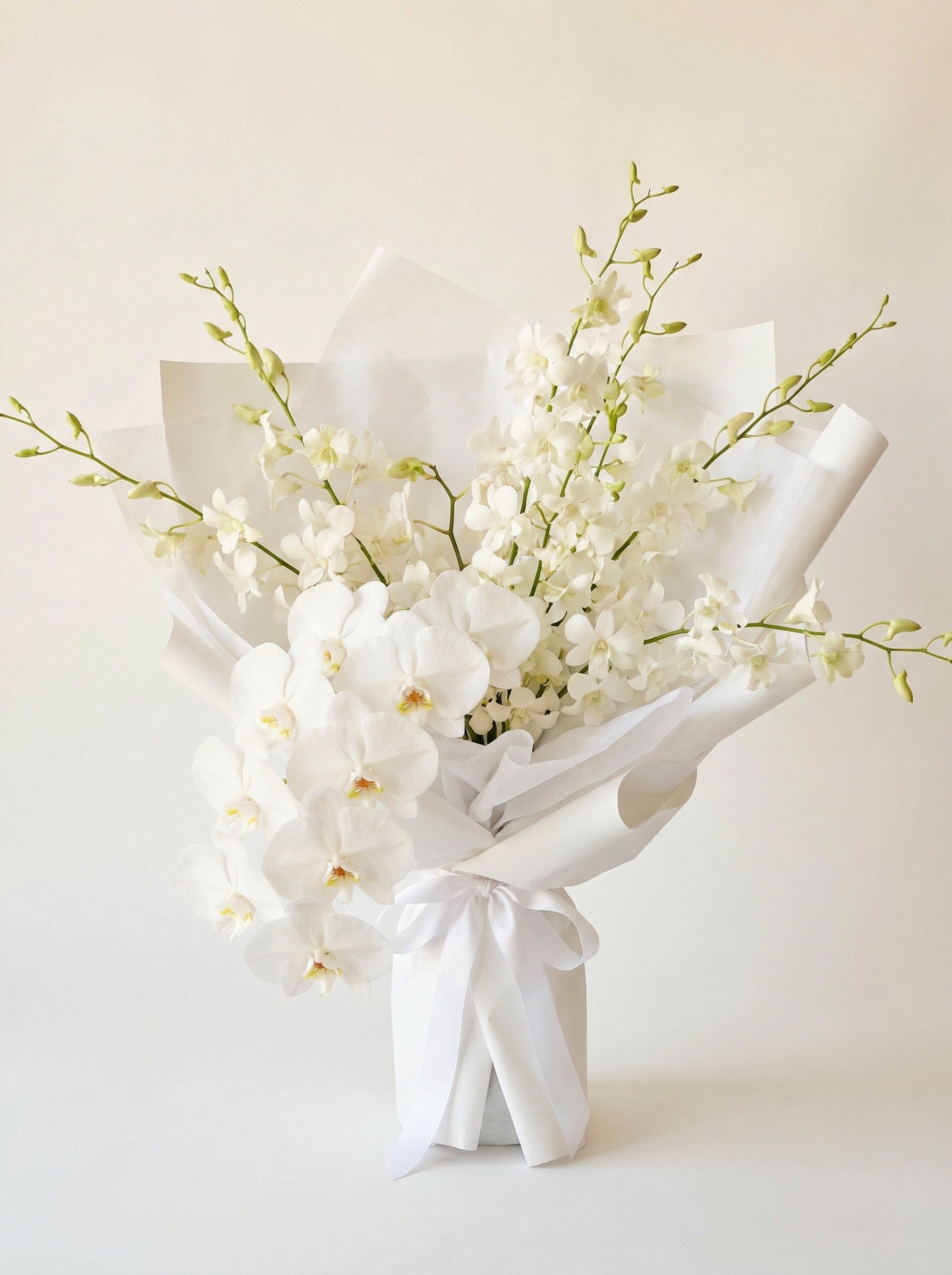 Pure Orchid Grace