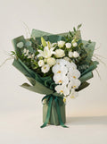 Emerald Orchid Elegance
