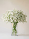 Custom Arrangement