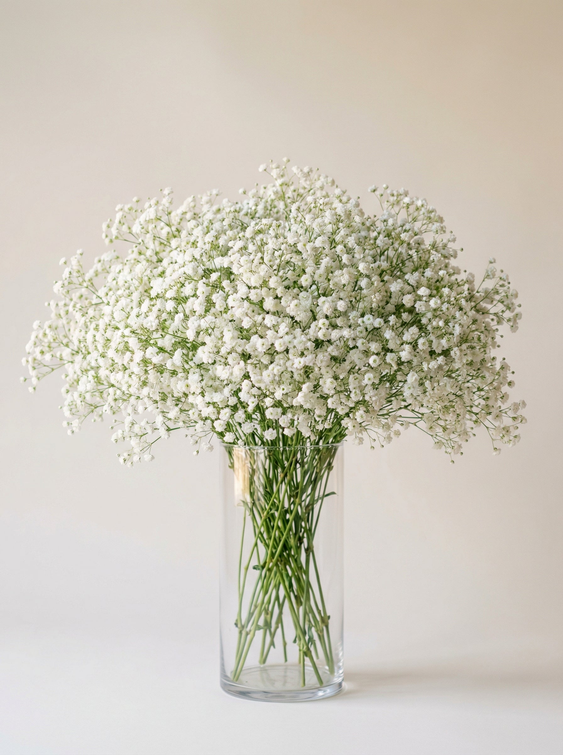 Custom Arrangement