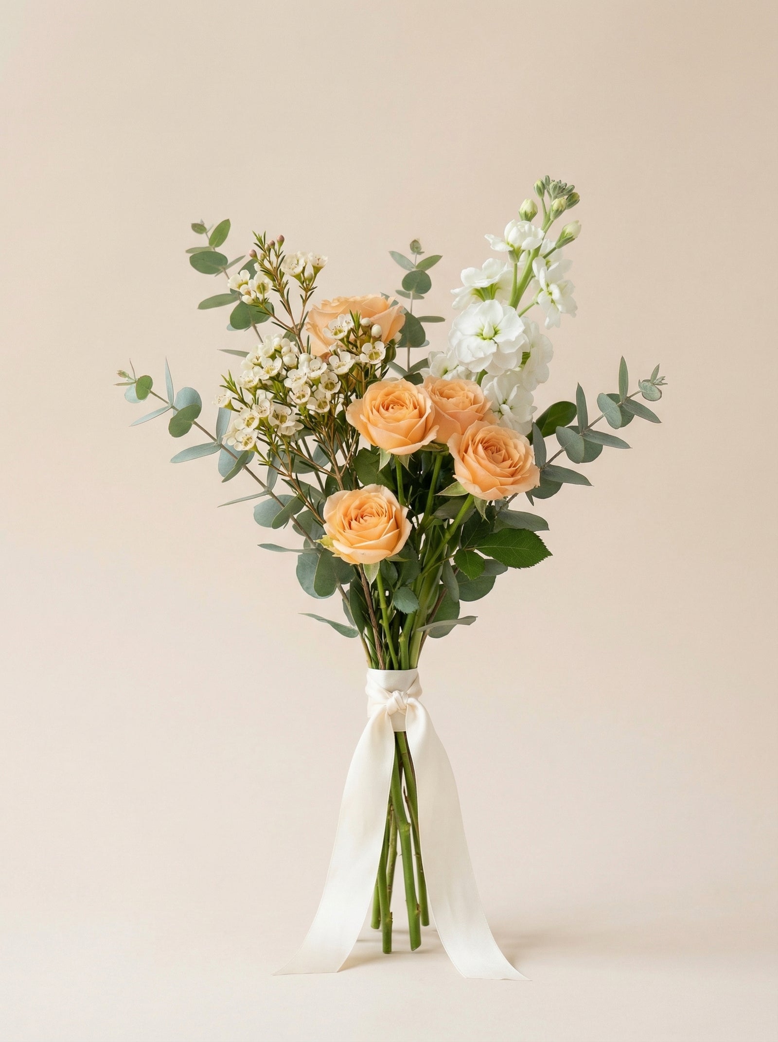 Apricot Petal Petite