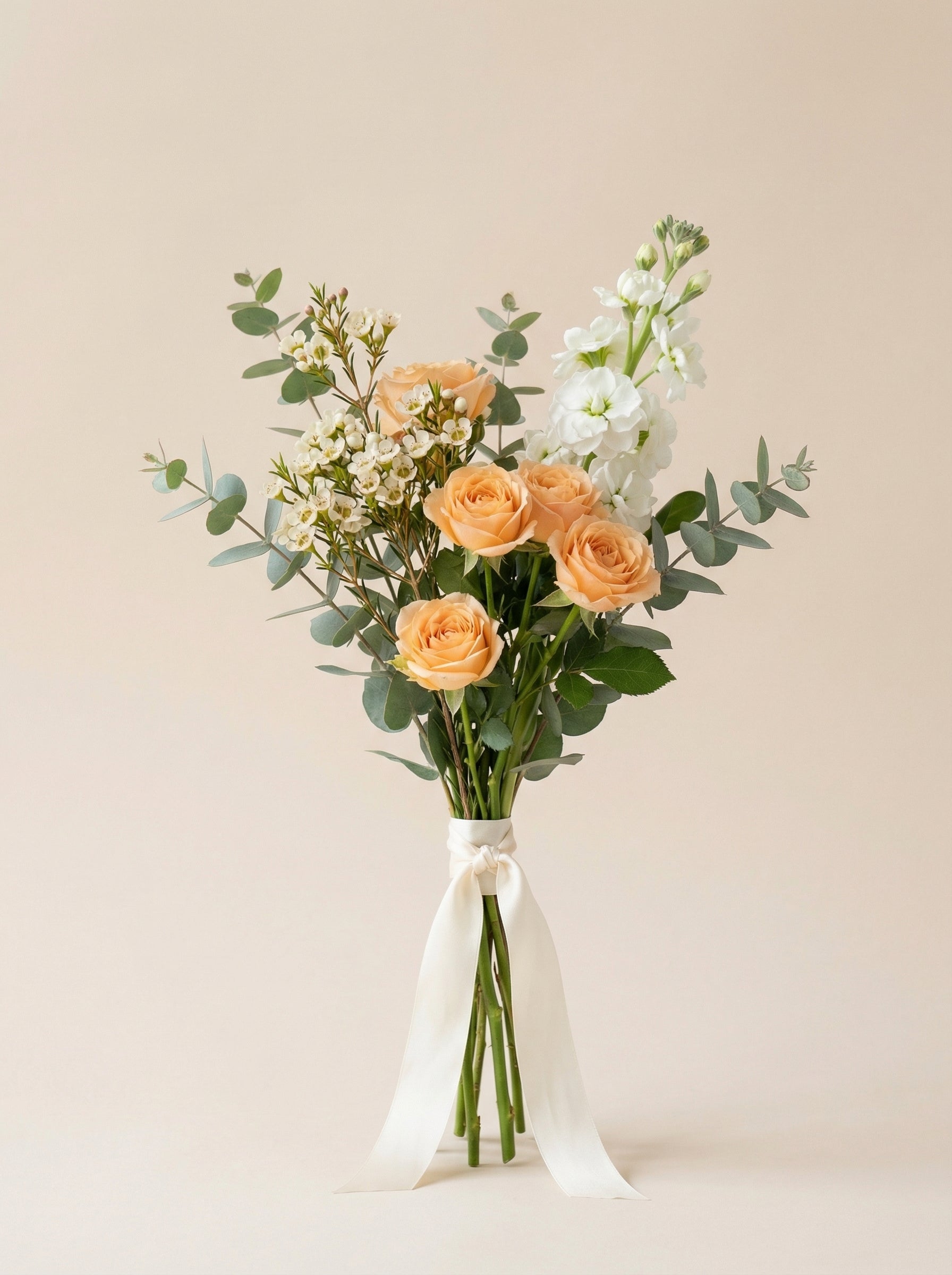 Apricot Petal Petite